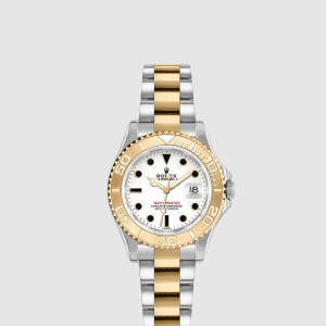 씨 드웰러 29 169623