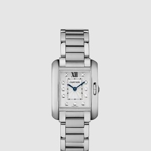 탱크 프랑세즈 30.2 W4TA0003