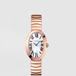 베누아 31.6 W8000005