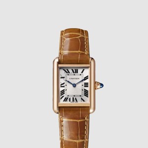 탱크 루이 30 WGTA0010