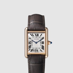 탱크 루이 34 WGTA0011