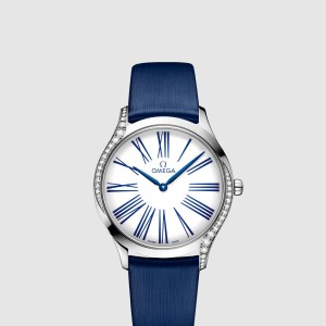 드 빌 트레저 36